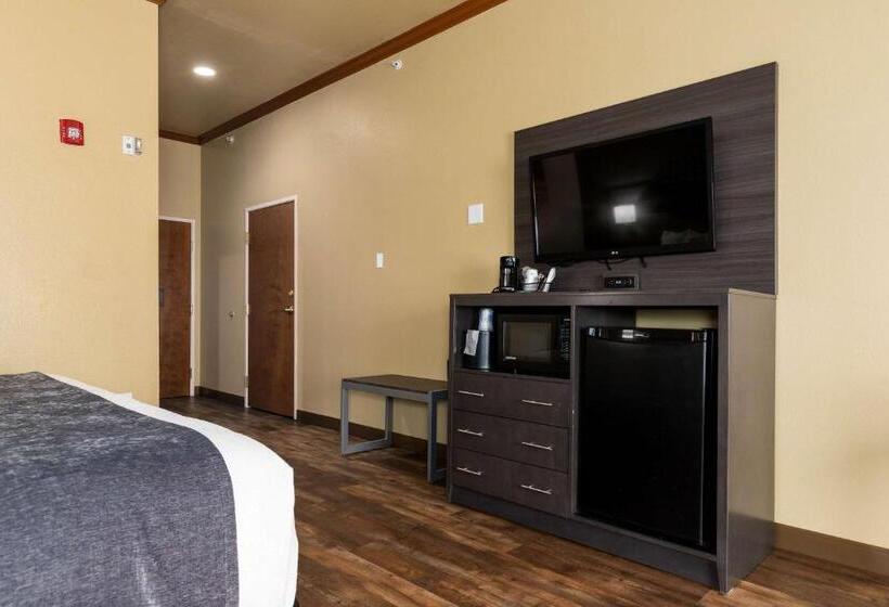 اتاق استاندارد با تخت بزرگ برای معلولان, Best Western Plus Portland