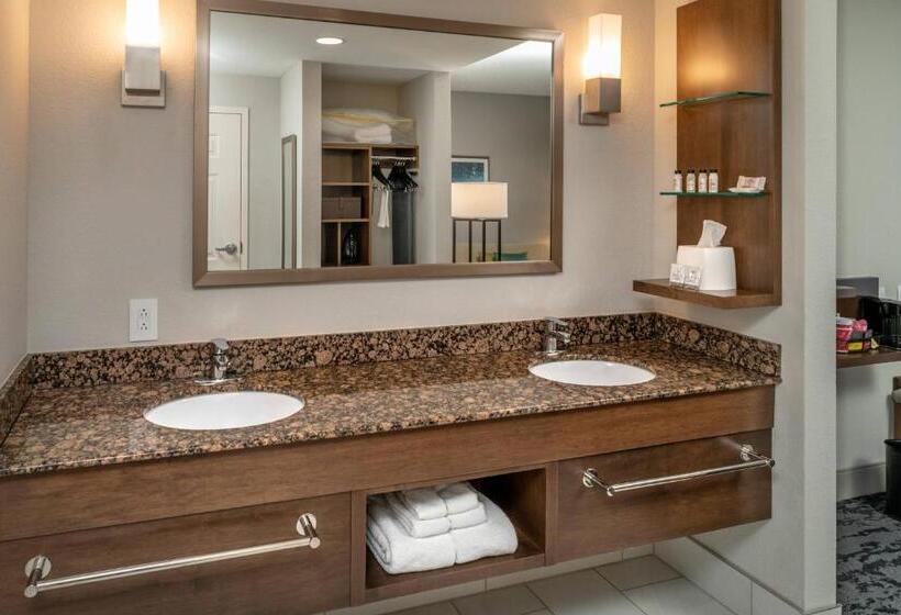 اتاق استاندارد با تخت بزرگ, Delta Hotels By Marriott Huntington Mall