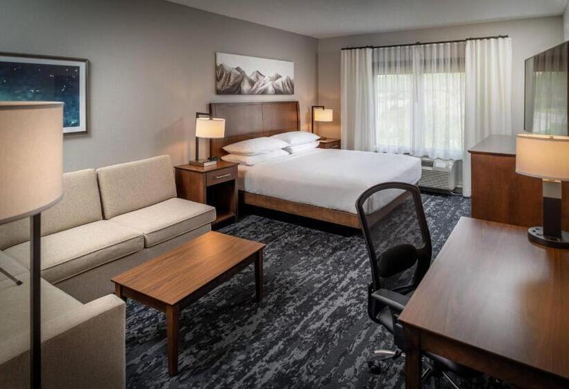 اتاق استاندارد با تخت بزرگ, Delta Hotels By Marriott Huntington Mall