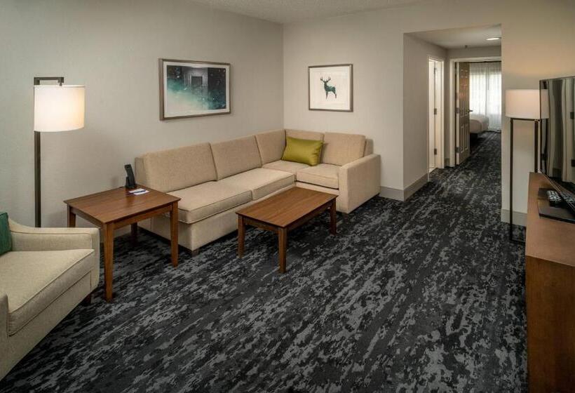 سوئیت اجرایی با تخت کینگ, Delta Hotels By Marriott Huntington Mall