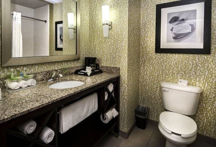 سوئیت برای معلولان, Holiday Inn Express Conway, An Ihg