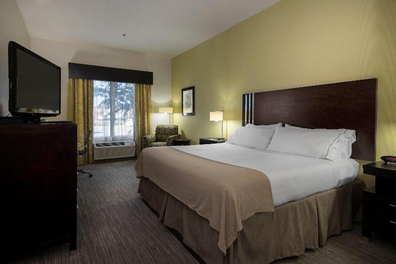 اتاق استاندارد با تخت بزرگ, Holiday Inn Express Conway, An Ihg
