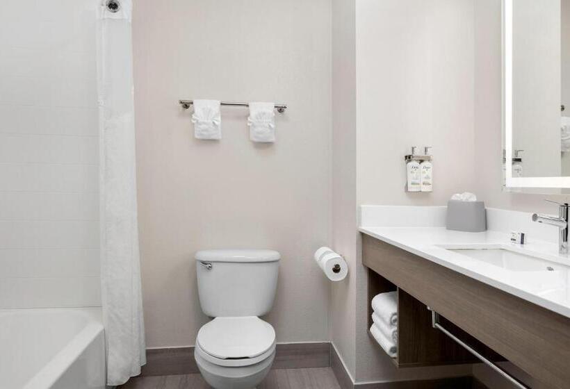 اتاق استاندارد, Holiday Inn Express & Suites Superior, An Ihg
