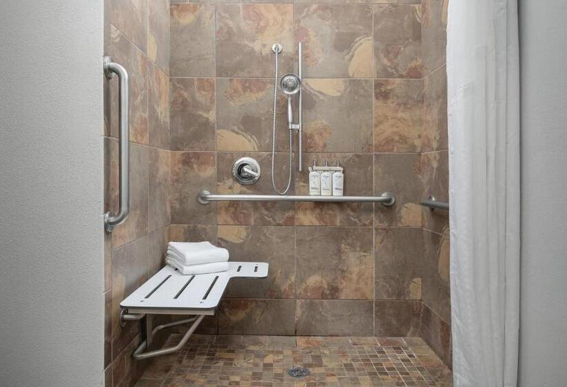 اتاق استاندارد با تخت بزرگ برای معلولان, Holiday Inn Express & Suites Superior, An Ihg