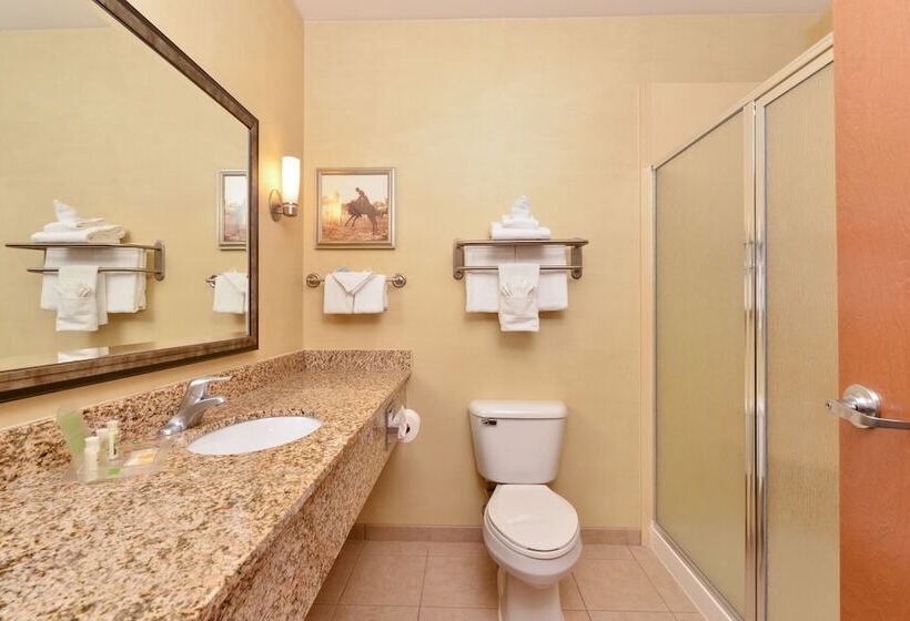 اتاق استاندارد, Holiday Inn Laramie, An Ihg