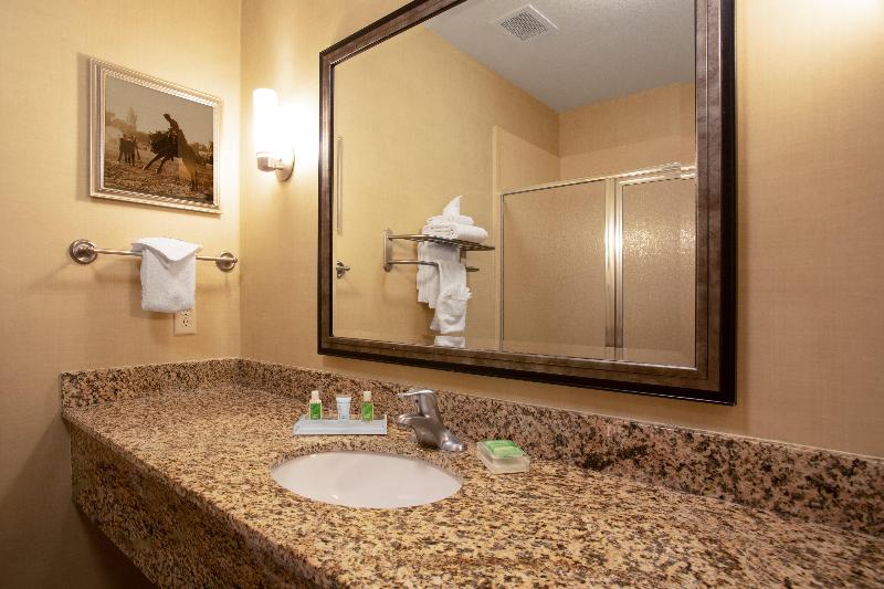 اتاق اجرایی با تخت بزرگ, Holiday Inn Laramie, An Ihg