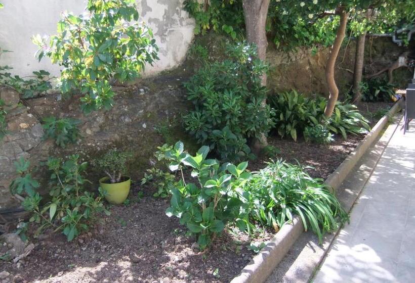 اتاق استاندارد, U Pozzu