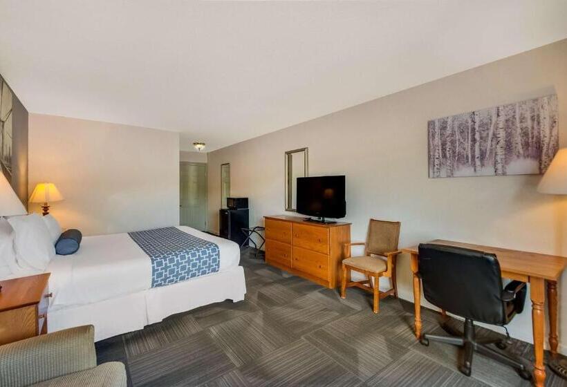 اتاق استاندارد با تخت بزرگ, Surestay Plus Hotel By Best Western Berkeley Springs
