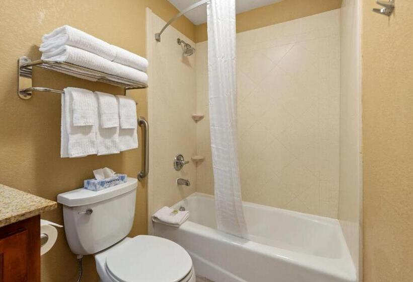 استودیوی لوکس, Extended Stay America Suites  Mcalester  Hwy 69