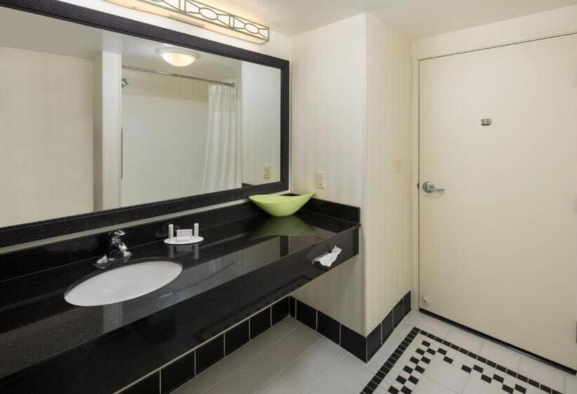 استودیو استاندارد با تخت کینگ, Fairfield Inn And Suites By Marriott Conway