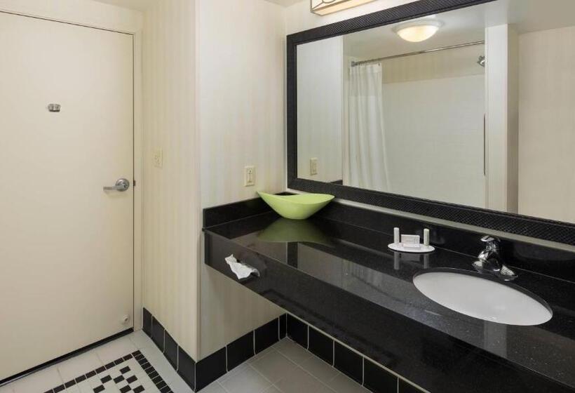 استودیو استاندارد با تخت کینگ, Fairfield Inn And Suites By Marriott Conway