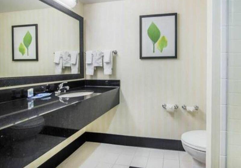 اتاق استاندارد با تخت بزرگ, Fairfield Inn And Suites By Marriott Conway