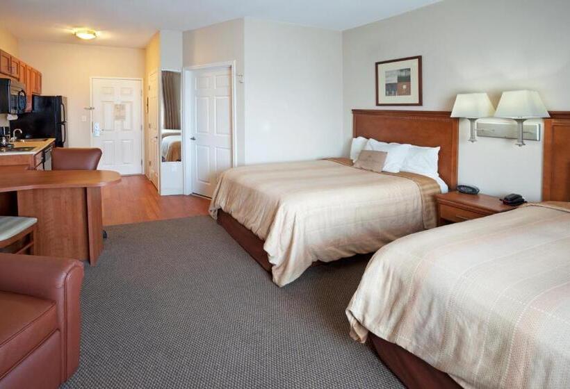 带2个双人床的标准工作室, Candlewood Suites Corpus Christi Spid, An Ihg