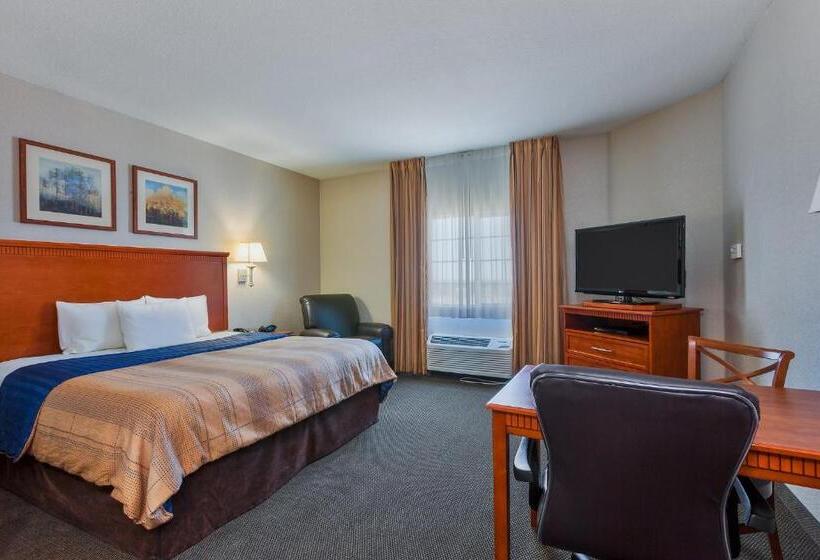 استودیو استاندارد با تخت کینگ, Candlewood Suites Decatur Medical Center, An Ihg