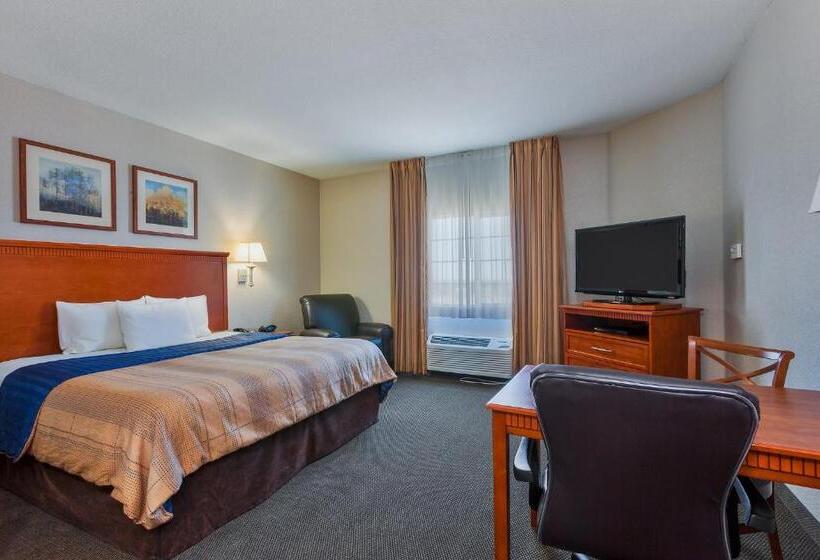 Standard Studio King Bed, Candlewood Suites Decatur Medical Center