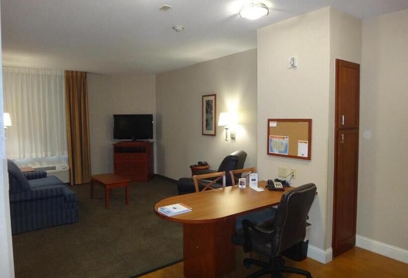 سوئیت با تخت بزرگ, Candlewood Suites Decatur Medical Center, An Ihg