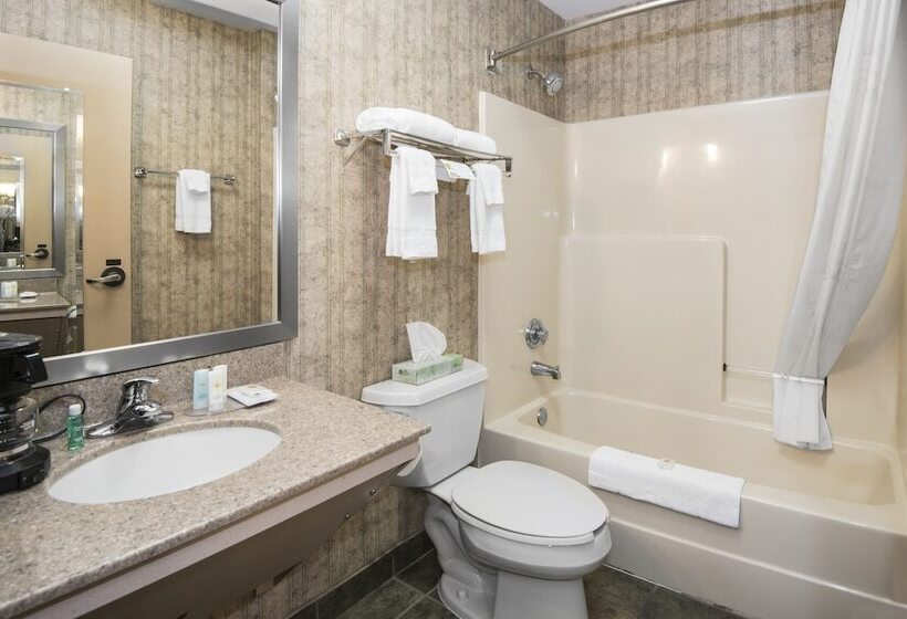 سوییت, Comfort Inn & Suites Conway