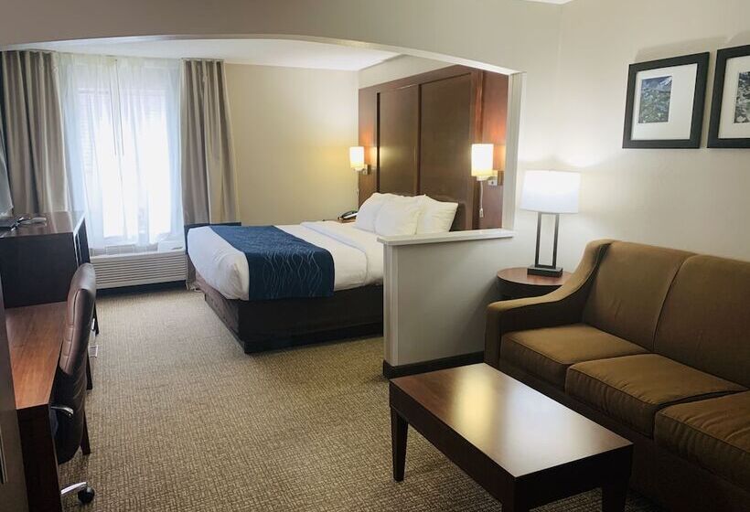 سوییت, Comfort Inn & Suites Conway