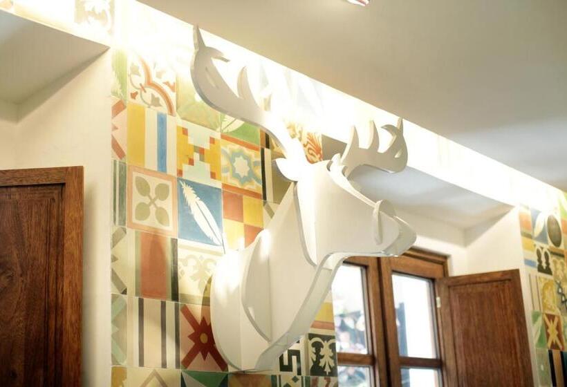 Люкс, Del Carmen Concept Hotel Boutique By Chai