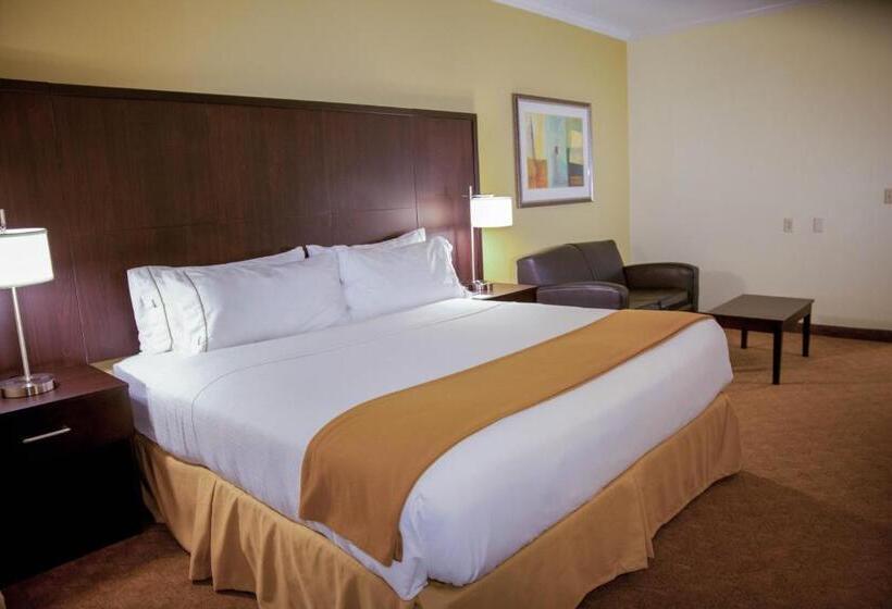 Chambre Standard Lit King Size, Holiday Inn Express  & Suites Houston North Intercontinental