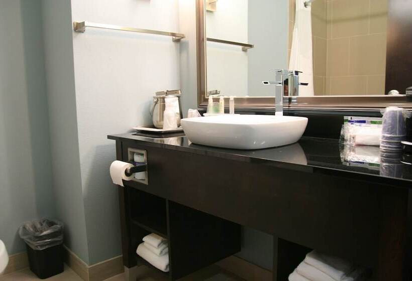 سوییت, Holiday Inn Express And Suites Corpus Christi North By Ihg