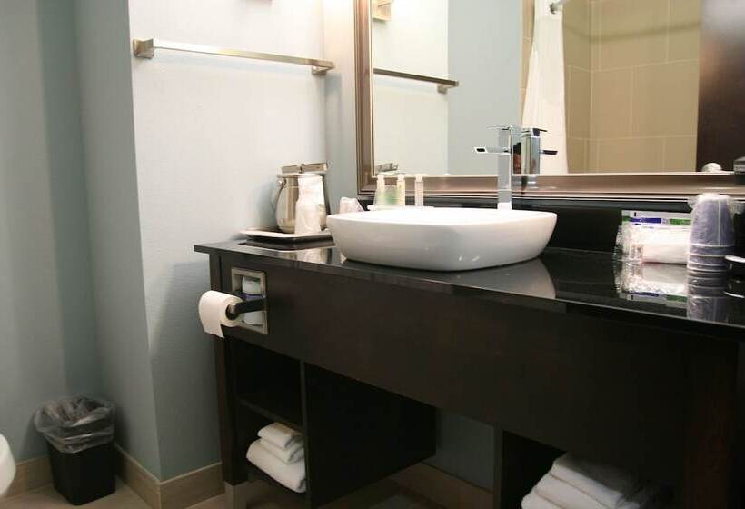 Suite, Holiday Inn Express & Suites Corpus Christi  North