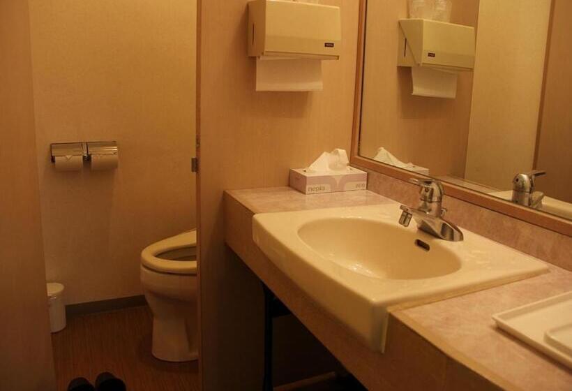 اتاق استاندارد چهارنفره با سرویس بهداشتی مشترک, Kaike Grand Hotel Tensui