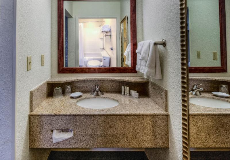 Suite King Bed, Springhill Suites Dayton South/miamisburg