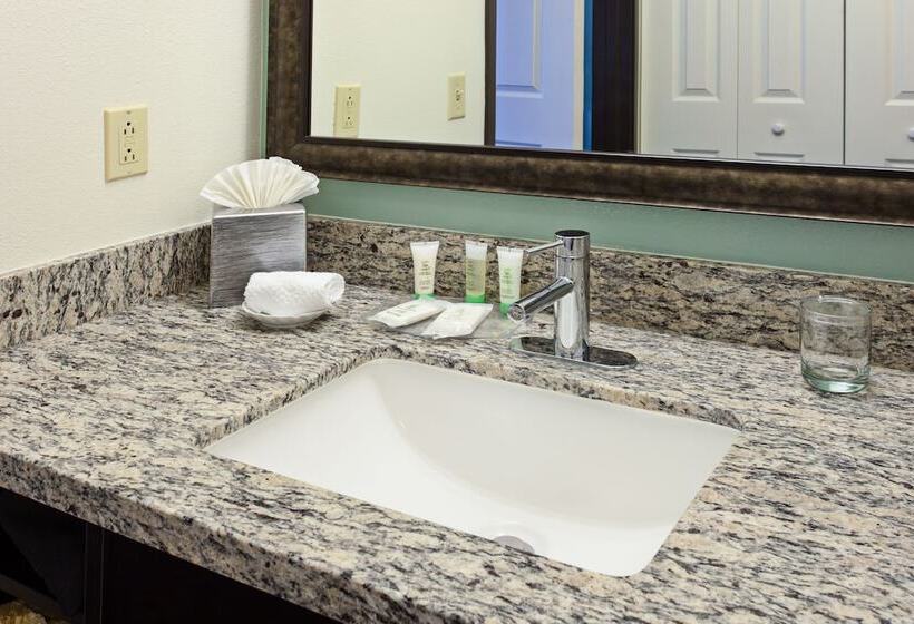 سوئیت 2 خوابه, Staybridge Suites Irvine East/lake Forest, An Ihg