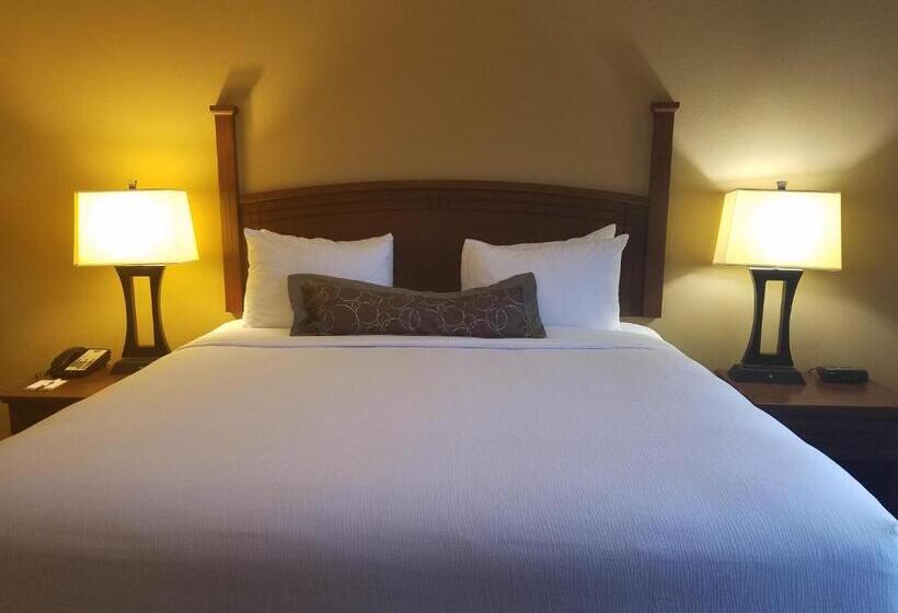 سوئیت با تخت بزرگ, Staybridge Suites Rogers   Bentonville, An Ihg