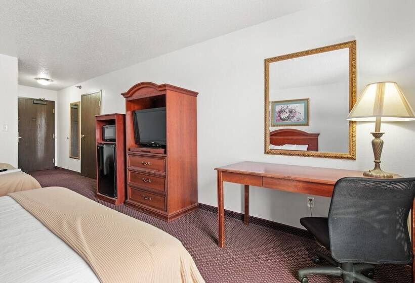 اتاق استاندارد یک نفره, Usa Stay  And Suites