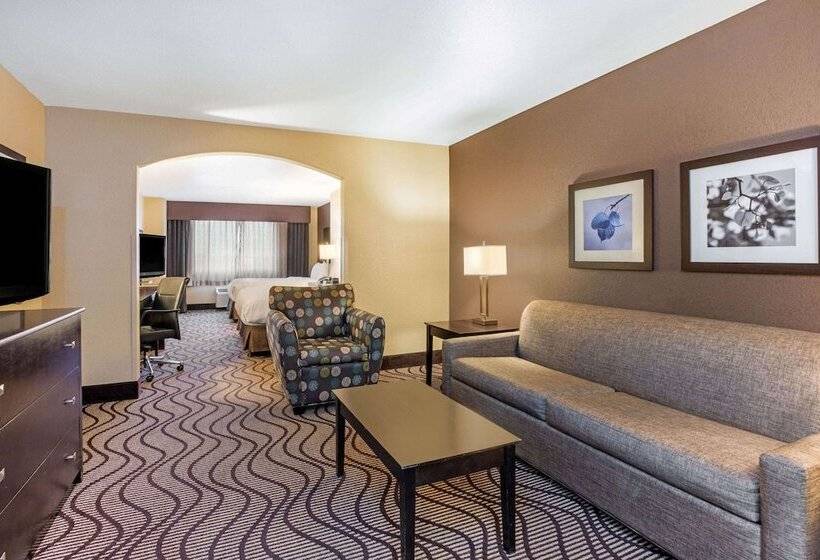 اتاق لوکس, La Quinta Inn & Suites By Wyndham Meridian / Boise West