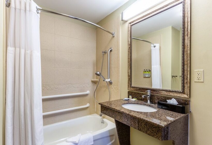 Suite Adapted for people with reduced mobility, Staybridge Suites Davenport