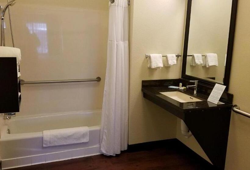 اتاق استاندارد با تخت بزرگ, Staybridge Suites Sioux Falls At Empire Mall, An Ihg