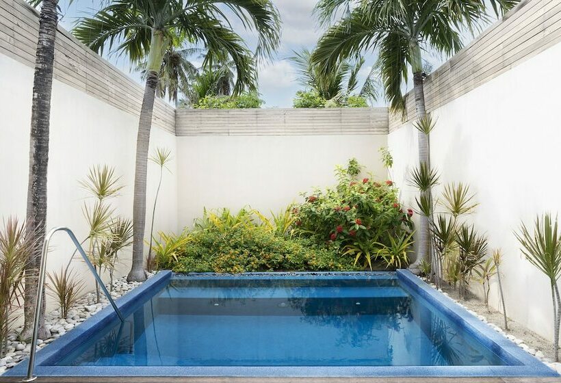 ویلای یک اتاق خوابه با استخر شنا, Kurumba Maldives