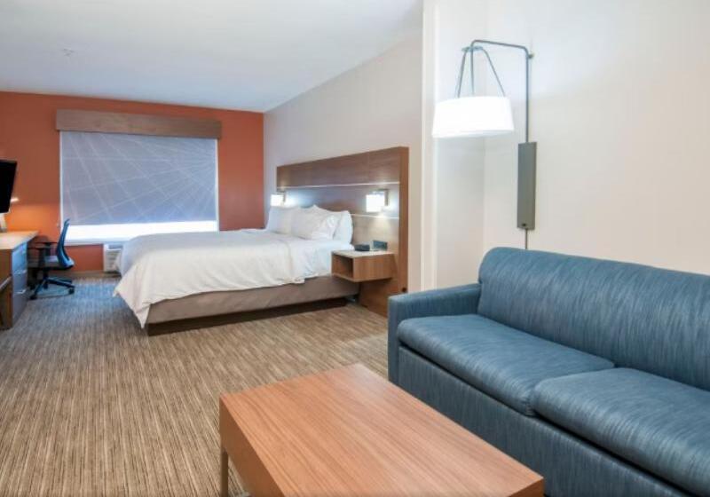 اتاق استاندارد, Fairfield Inn & Suites By Marriott Denver Aurora/parker