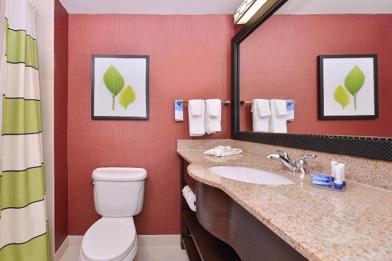 اتاق استاندارد با تخت بزرگ, Fairfield Inn & Suites By Marriott Denver Aurora/parker