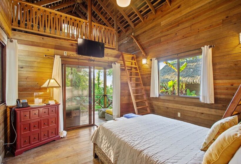 2 Bedroom Apartment, Red Frog Beach Island Resort