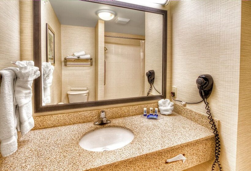 Suite, Fairfield Inn & Suites Edmond