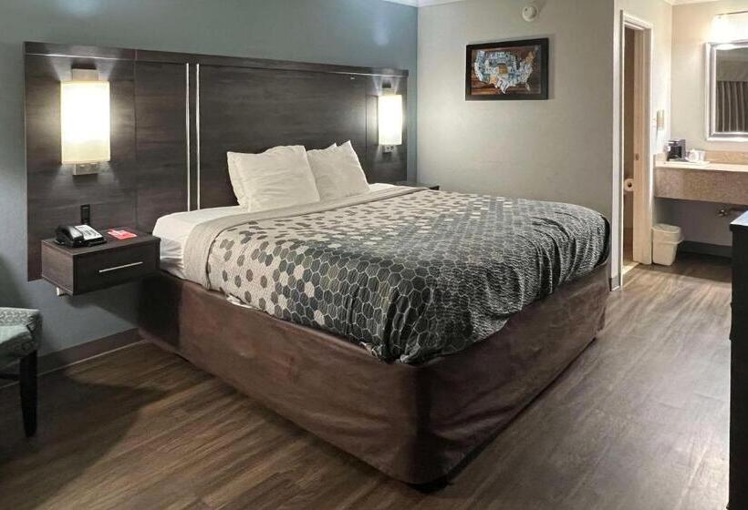 اتاق استاندارد با تخت بزرگ, Econo Lodge Byron  Warner Robins