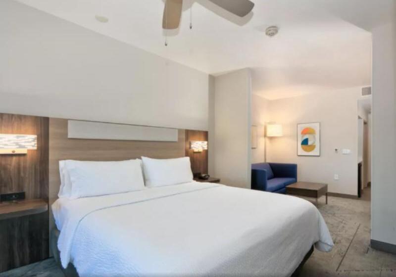 اتاق استاندارد با تخت دو نفره بزرگ, Hilton Garden Inn Covington Mandeville