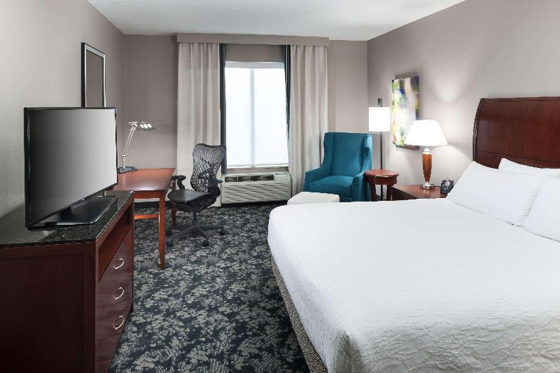 اتاق استاندارد با تخت بزرگ, Hilton Garden Inn Frisco