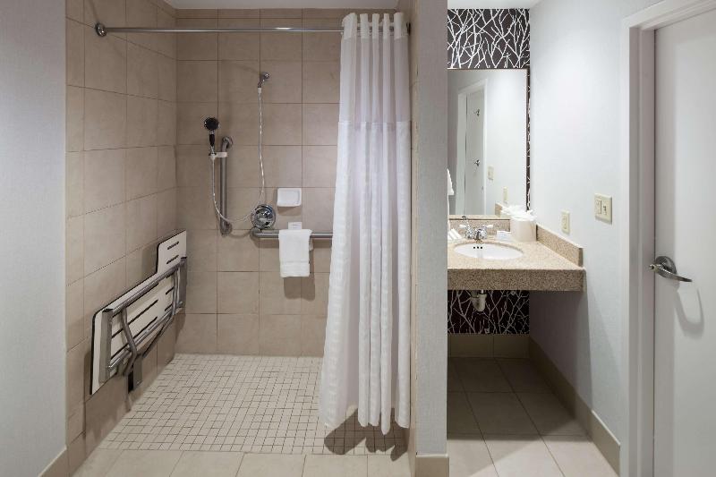 اتاق استاندارد با تخت بزرگ, Hilton Garden Inn Frisco