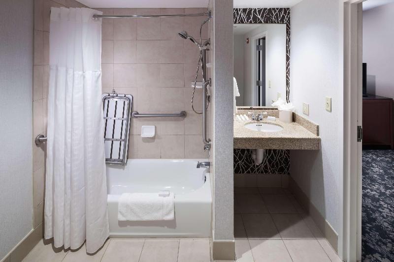 اتاق استاندارد با تخت بزرگ, Hilton Garden Inn Frisco