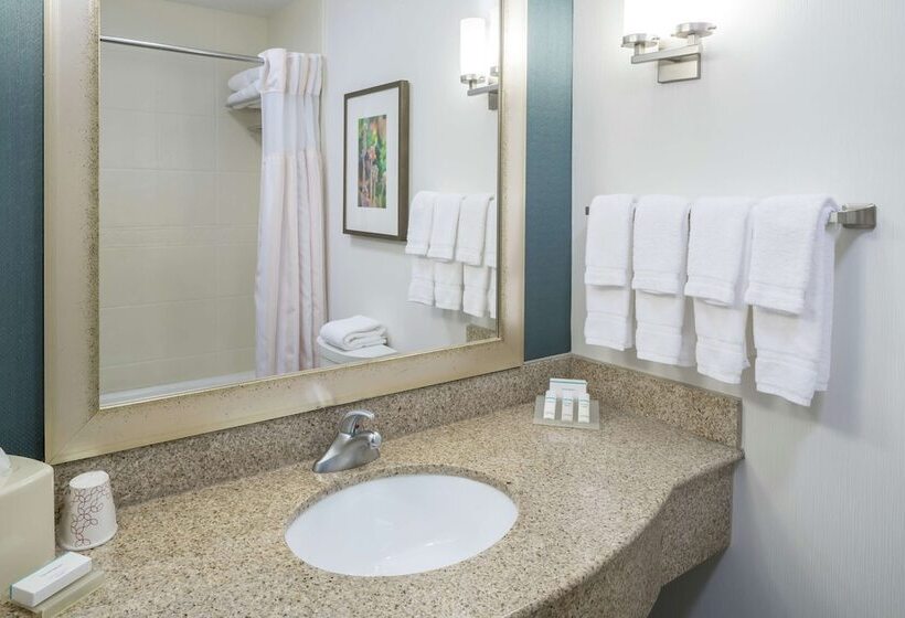 Standard Room Adapted for people with reduced mobility, Hilton Garden Inn Dothan