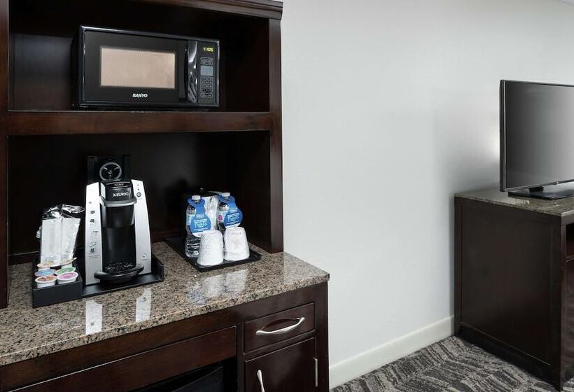 Quarto Estandar para Deficientes Físicos, Hilton Garden Inn Dothan