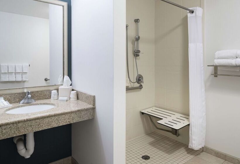 Quarto Estandar para Deficientes Físicos, Hilton Garden Inn Dothan