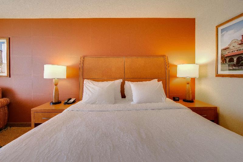 اتاق لوکس, Hilton Garden Inn Fort Worth Medical Center