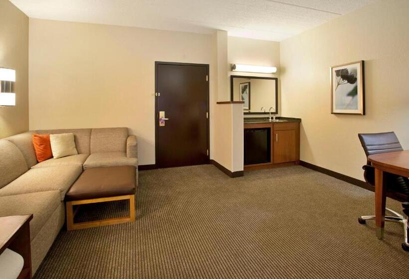 חדר סטנדרט שתי מיטות זוגיות, Hyatt Place Atlanta Arpt North