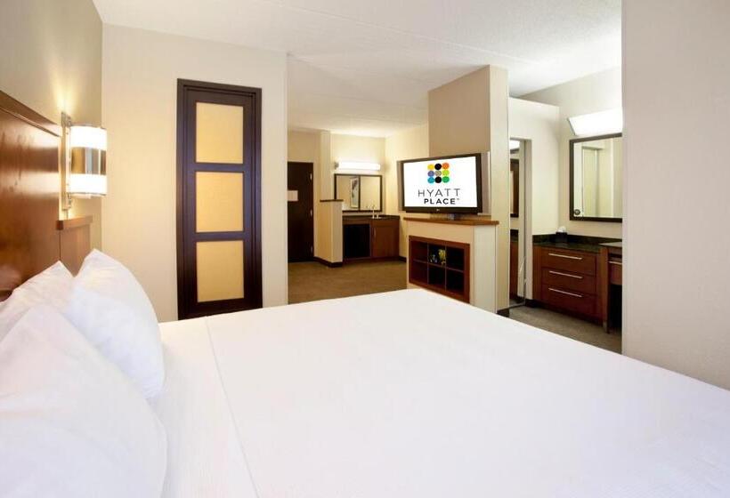 اتاق استاندارد با تخت بزرگ, Hyatt Place Atlanta Airport North